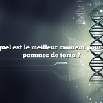 Question : quel est le meilleur moment pour planter des pommes de terre ?